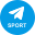 Telegram Sport logo